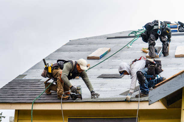 Professional Gutter Installation technician working in California, KY